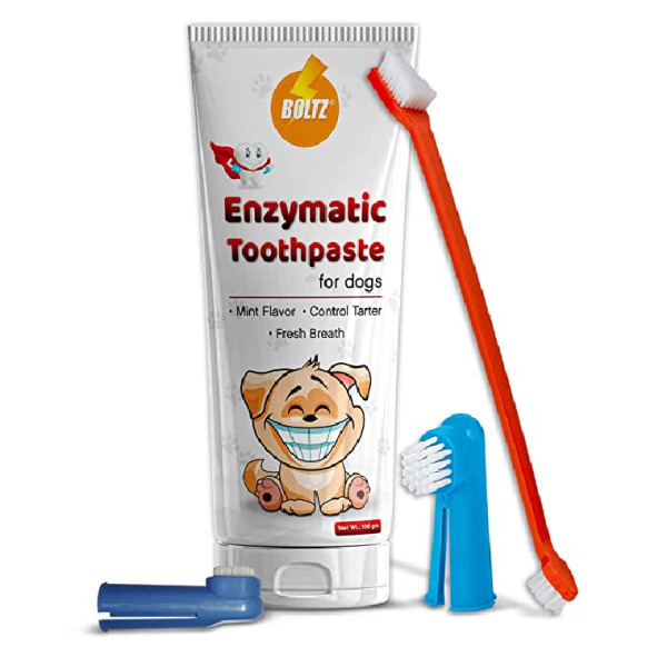 Boltz Enzymatic Toothpaste Mint Flavor for Dogs 100gm with 3 Toothbrush