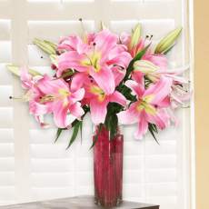 Light Pink Lilies Vase