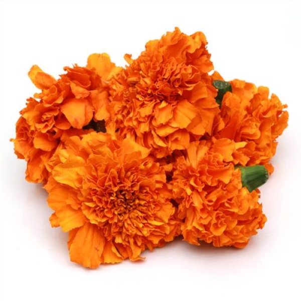 Marigold - Orange - 1000 grams