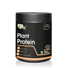 Vegan Bit 100% Plant Based Protein...