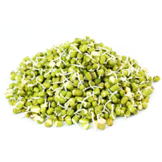 Sprouts-Moong Green