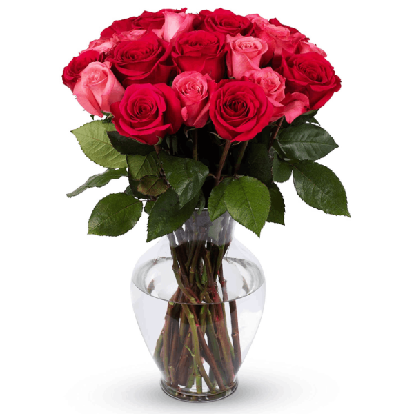  Red Roses Bouquet of Fresh Flowers in a Glass Vase