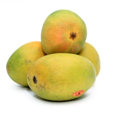 Fresho Alphonso Mango