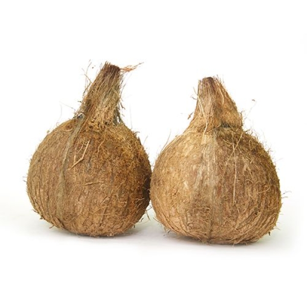 Coconut - Organically Grown