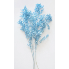 Dried Ruscus Leaves in Light Blue