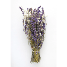 Larkspur and Daisy Dried Bundle